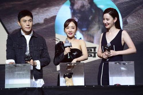 娱乐圈近期吃瓜汇总图,吃瓜群众狂欢时刻