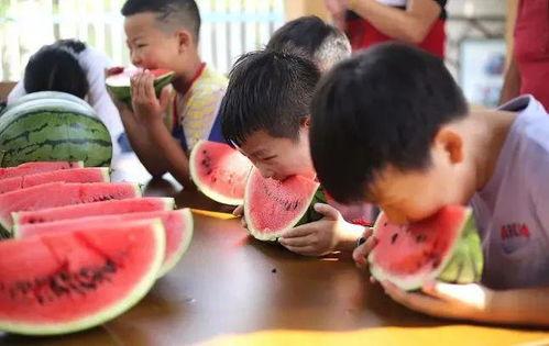 吃瓜比赛活动,吃瓜比赛狂欢盛宴