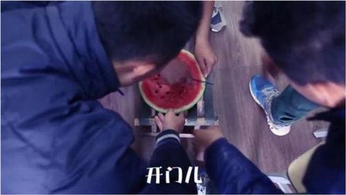 奇葩吃瓜娱乐,揭秘娱乐圈那些奇葩吃瓜娱乐事件