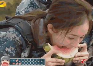 网上娱乐圈吃瓜是真的吗,真相还是谣言？