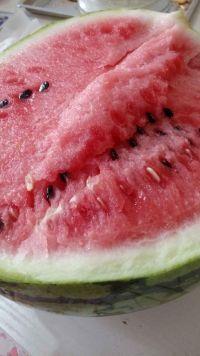 娱乐吃瓜酱做核酸的修勾