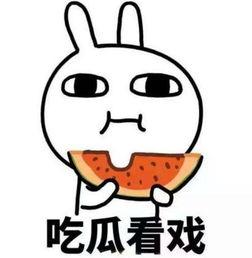 搞笑娱乐吃瓜君小说,笑料百出，瓜田奇遇记